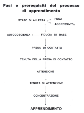 processo_apprendimento